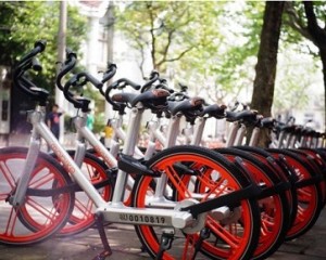 摩拜早期投資人劉二海：當(dāng)你足夠強(qiáng)大，自不必與巨頭為伍